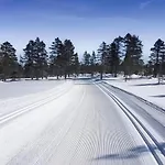 Awesome In With Wifi Honefoss