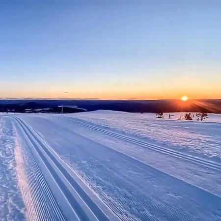 Awesome In With Wifi * Honefoss