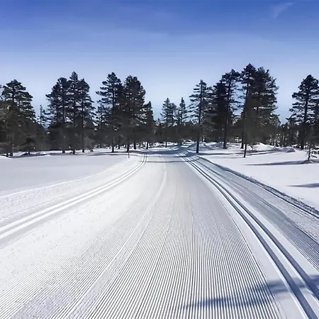 Awesome In With Wifi Honefoss