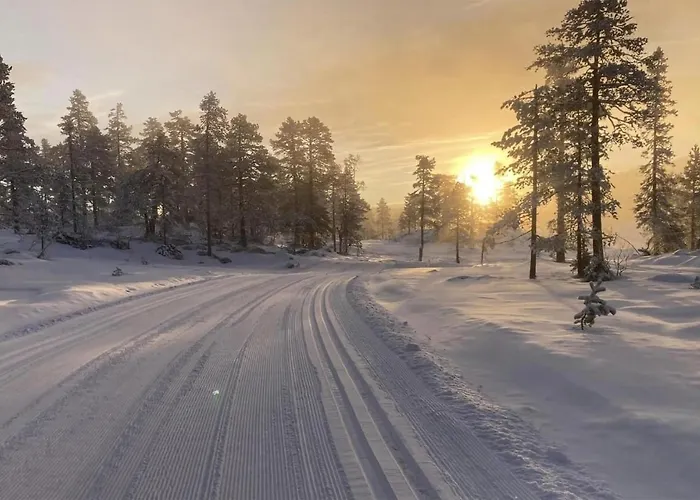 Awesome In With Wifi *