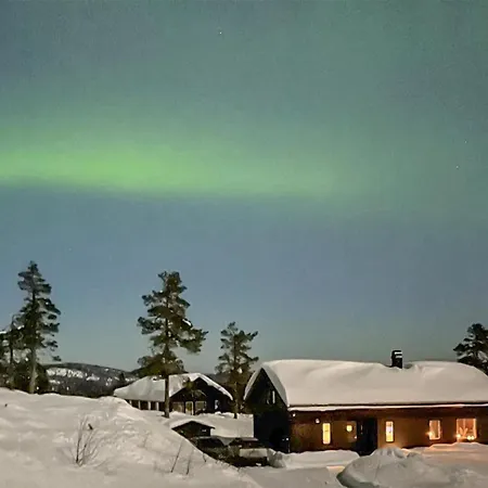 Awesome In With Wifi Honefoss